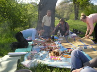 Пикник в парке Голициных
